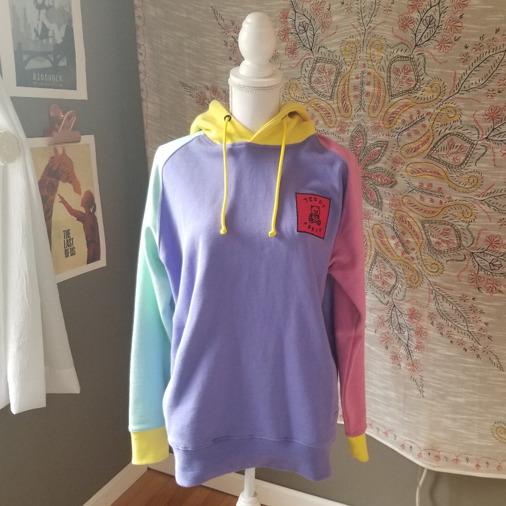 Teddy Fresh color block pastel hoodie